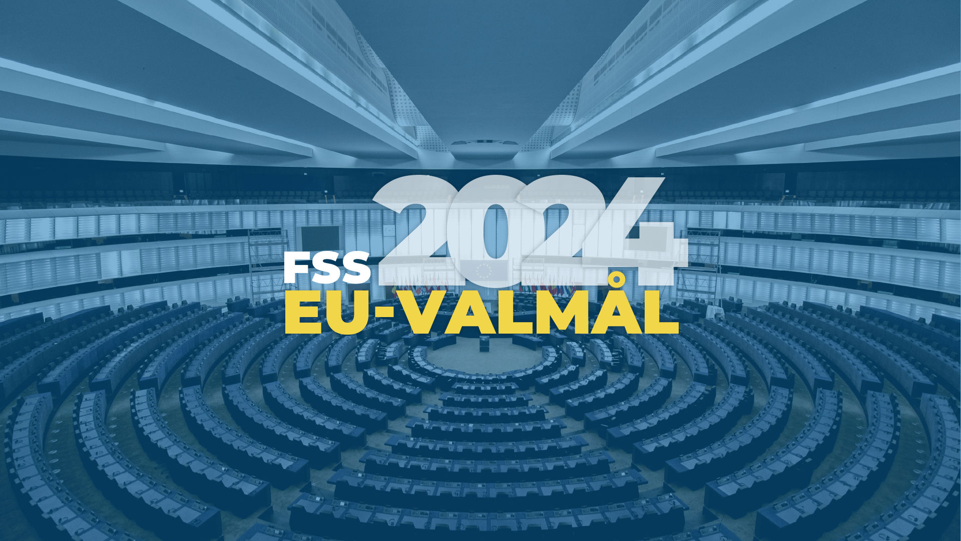 Finlands Svenska Skolungdomsförbunds mål inför Europa parlamentsvalet 2024